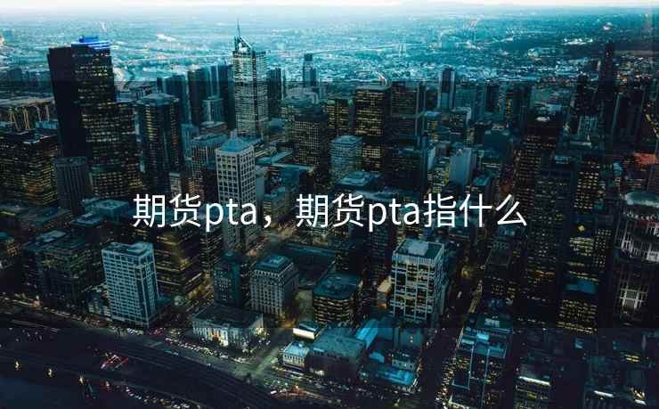 期货pta，期货pta指什么