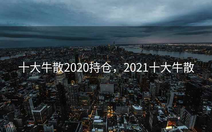 十大牛散2020持仓，2021十大牛散
