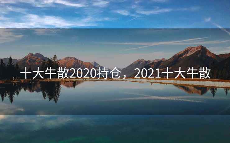 十大牛散2020持仓，2021十大牛散