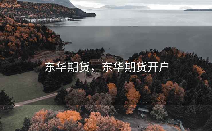 东华期货，东华期货开户  第1张