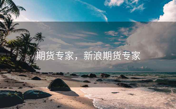 期货专家，新浪期货专家