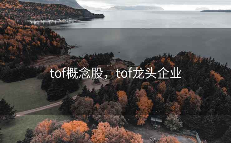tof概念股，tof龙头企业  第1张