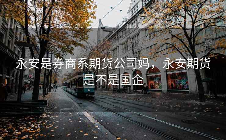 永安是券商系期货公司妈，永安期货是不是国企