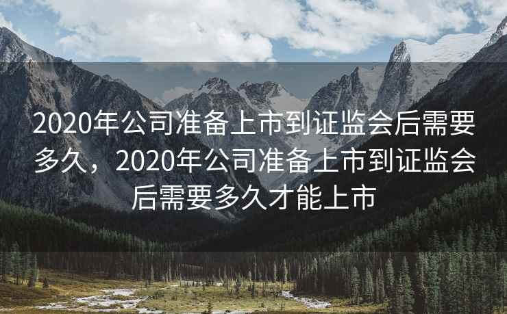 2020年公司准备上市到证监会后需要多久，2020年公司准备上市到证监会后需要多久才能上市