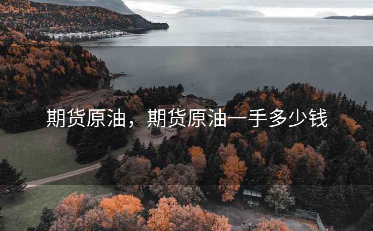 期货原油，期货原油一手多少钱
