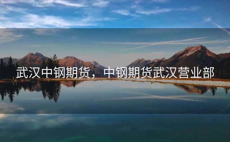 武汉中钢期货，中钢期货武汉营业部