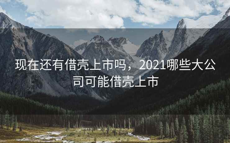 现在还有借壳上市吗，2021哪些大公司可能借壳上市