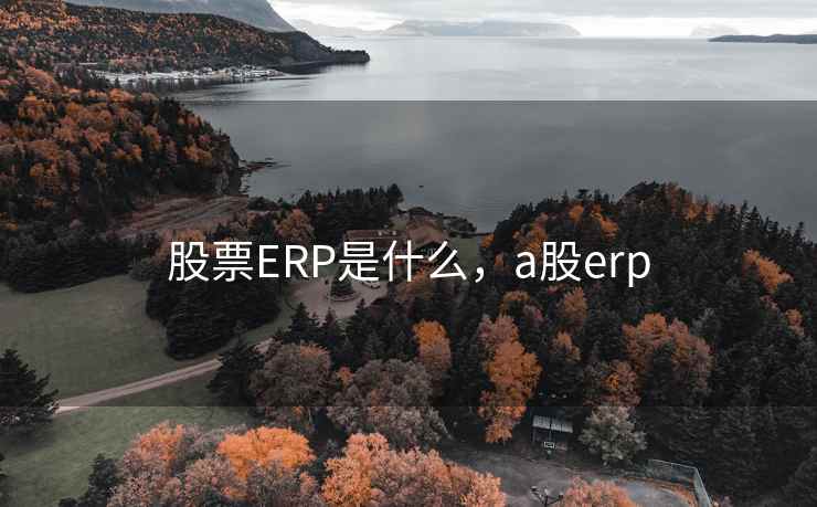 股票ERP是什么，a股erp  第2张