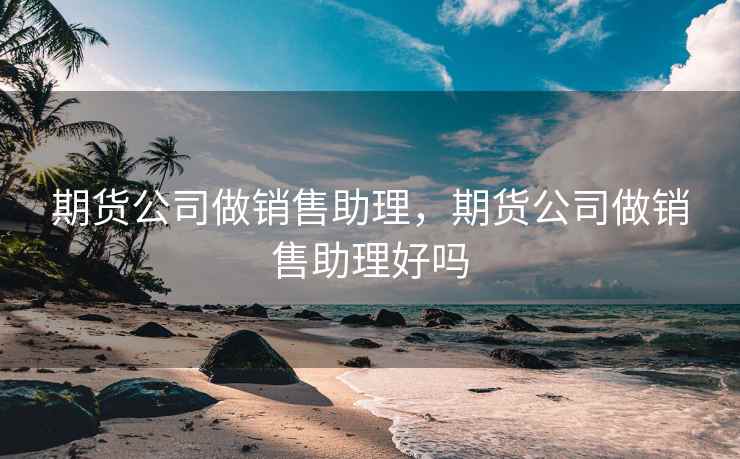 期货公司做销售助理，期货公司做销售助理好吗  第2张