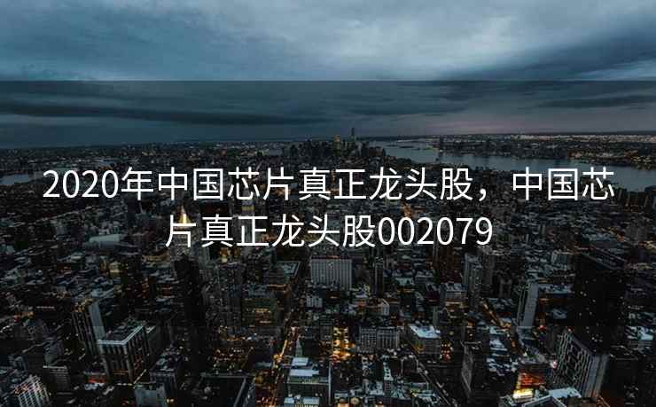 2020年中国芯片真正龙头股，中国芯片真正龙头股002079