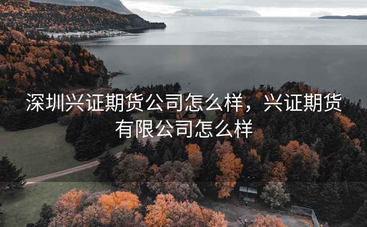 深圳兴证期货公司怎么样，兴证期货有限公司怎么样  第2张
