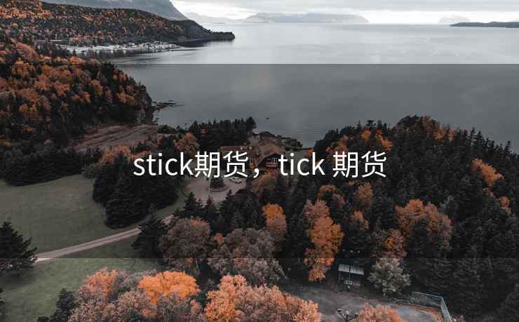 stick期货，tick 期货