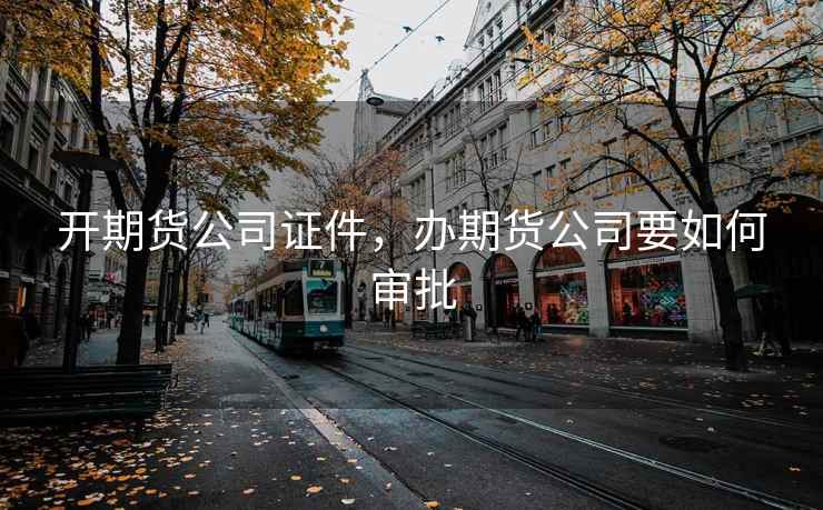 开期货公司证件，办期货公司要如何审批