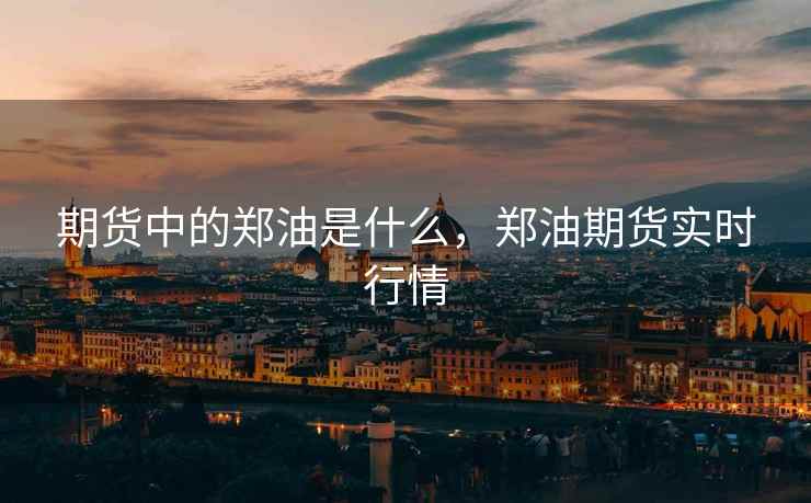 期货中的郑油是什么，郑油期货实时行情