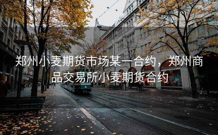 郑州小麦期货市场某一合约，郑州商品交易所小麦期货合约